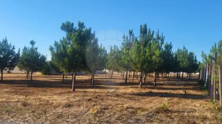 Terreno para venda em Marinha Grande, Portugal — 70 000 €