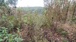 Terreno em Vila Nova da Barquinha
