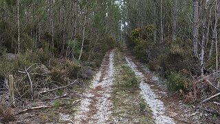 Land for sale in Cantanhede, Portugal — €8,000