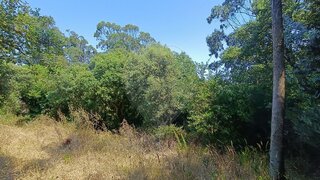 Land for sale in Sintra, Portugal — €67,000