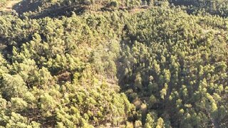 Land for sale in Cabeceiras de Basto, Portugal — €18,700