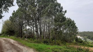Land for sale in Mafra, Portugal — €34,500