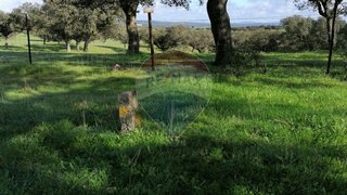 Land for sale in Alandroal, Portugal — €25,000