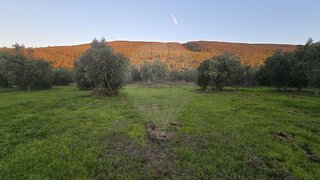Land for sale in Torres Novas, Portugal — €30,000