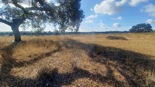 Land for sale in Vila Velha de Ródão, Portugal — €7,500