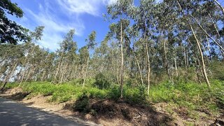 Land for sale in Paços de Ferreira, Portugal — €32,500