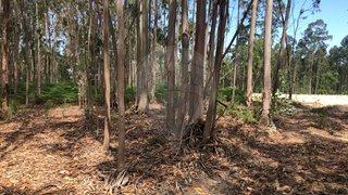 Terreno em Figueira da Foz