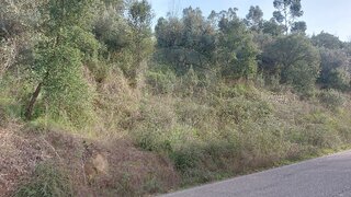 Terreno em Sardoal