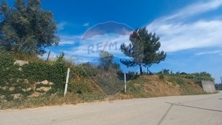 Land for sale in Santa Comba Dão, Portugal — €25,000