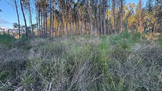 Land for sale in Batalha, Portugal — €10,000