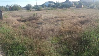 Land for sale in Pombal, Portugal — €57,500