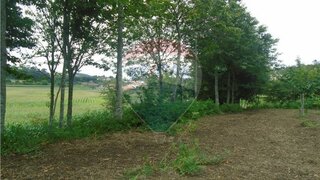 Land for sale in Paços de Ferreira, Portugal — €22,500