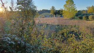 Land for sale in Pombal, Portugal — €3,000