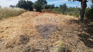 Land for sale in Tomar, Portugal — €2,900