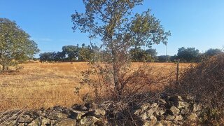 Land for sale in Idanha-a-Nova, Portugal — €14,500
