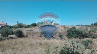 Land for sale in Proença-a-Nova, Portugal — €25,000