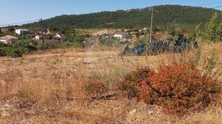 Terreno para venda em Proença-a-Nova, Portugal — 19 900 €