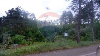 Land for sale in Ansião, Portugal — €13,500