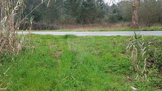 Land for sale in Mealhada, Portugal — €17,000