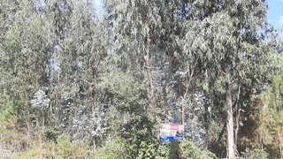 Land for sale in Pombal, Portugal — €25,000