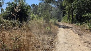Land for sale in Santa Comba Dão, Portugal — €12,500