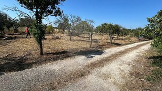 Land for sale in Palmela, Portugal — €120,000