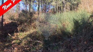 Land for sale in Arcos de Valdevez, Portugal — €8,500