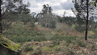 Land for sale in Fafe, Portugal — €160,000