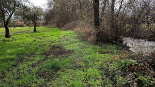 Terreno · 15 703 m² · 43 000 €