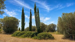 Land for sale in Torres Novas, Portugal — €120,000