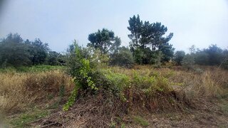 Land for sale in Tomar, Portugal — €6,500