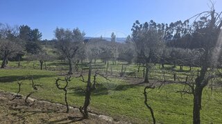 Land for sale in Mangualde, Portugal — €25,000