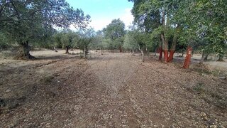 Terreno em Idanha-a-Nova