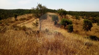 Land for sale in Santiago do Cacém, Portugal — €150,000