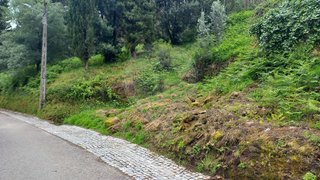 Terreno em Alvaiázere