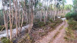 Terreno · 1780 m² · 7200 €