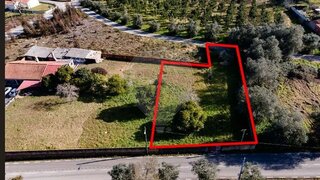 Land for sale in Anadia, Portugal — €26,500