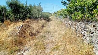 Terreno em Moimenta da Beira