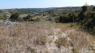 Land for sale in Sintra, Portugal — €40,000