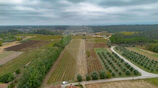 Land for sale in Anadia, Portugal — €9,000