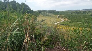 Land for sale in Cadaval, Portugal — €140,000
