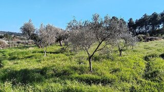 Land for sale in Valpaços, Portugal — €66,500