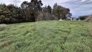 Land for sale in Vila Nova de Gaia, Portugal — €1,104,000