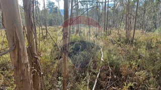 Land for sale in Valongo, Portugal — €800,000