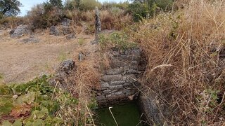 Terreno em Idanha-a-Nova