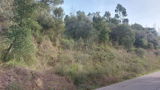 Land for sale in Sardoal, Portugal — €5,000