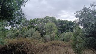 Land for sale in Penamacor, Portugal — €8,875