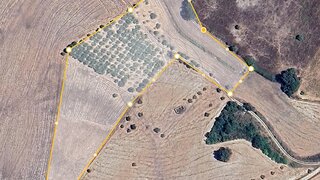 Terreno de 18 120 m² em Santarém