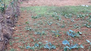 Land for sale in Porto de Mós, Portugal — €7,500