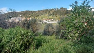 Land for sale in Abrantes, Portugal — €16,500